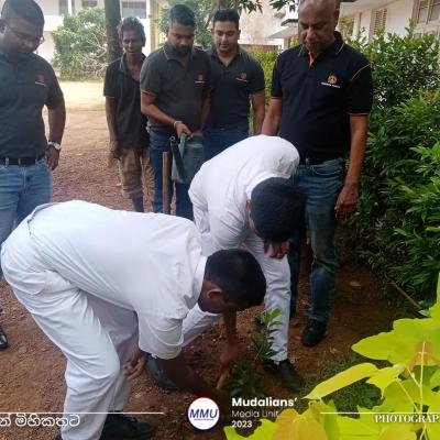 From Siyapata to the earth Tree Planting Programme 